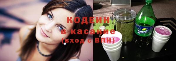 индика Нефтекумск