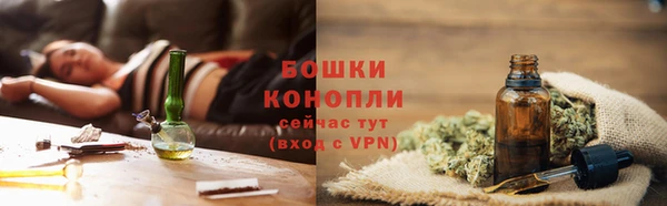 индика Нефтекумск
