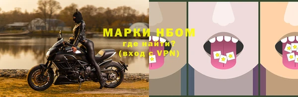 индика Нефтекумск