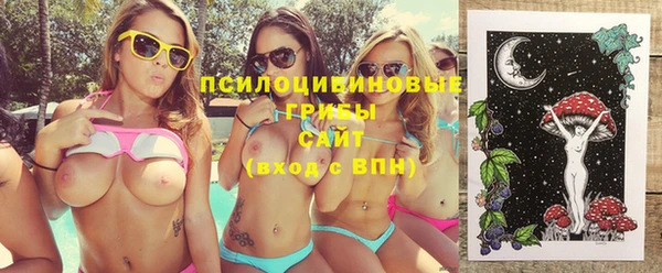 индика Нефтекумск
