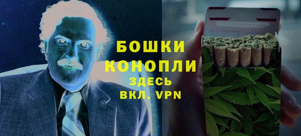 индика Нефтекумск