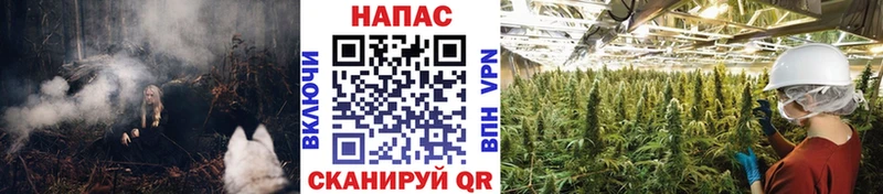 Бошки марихуана AK-47  Купить закладки  Суджа 